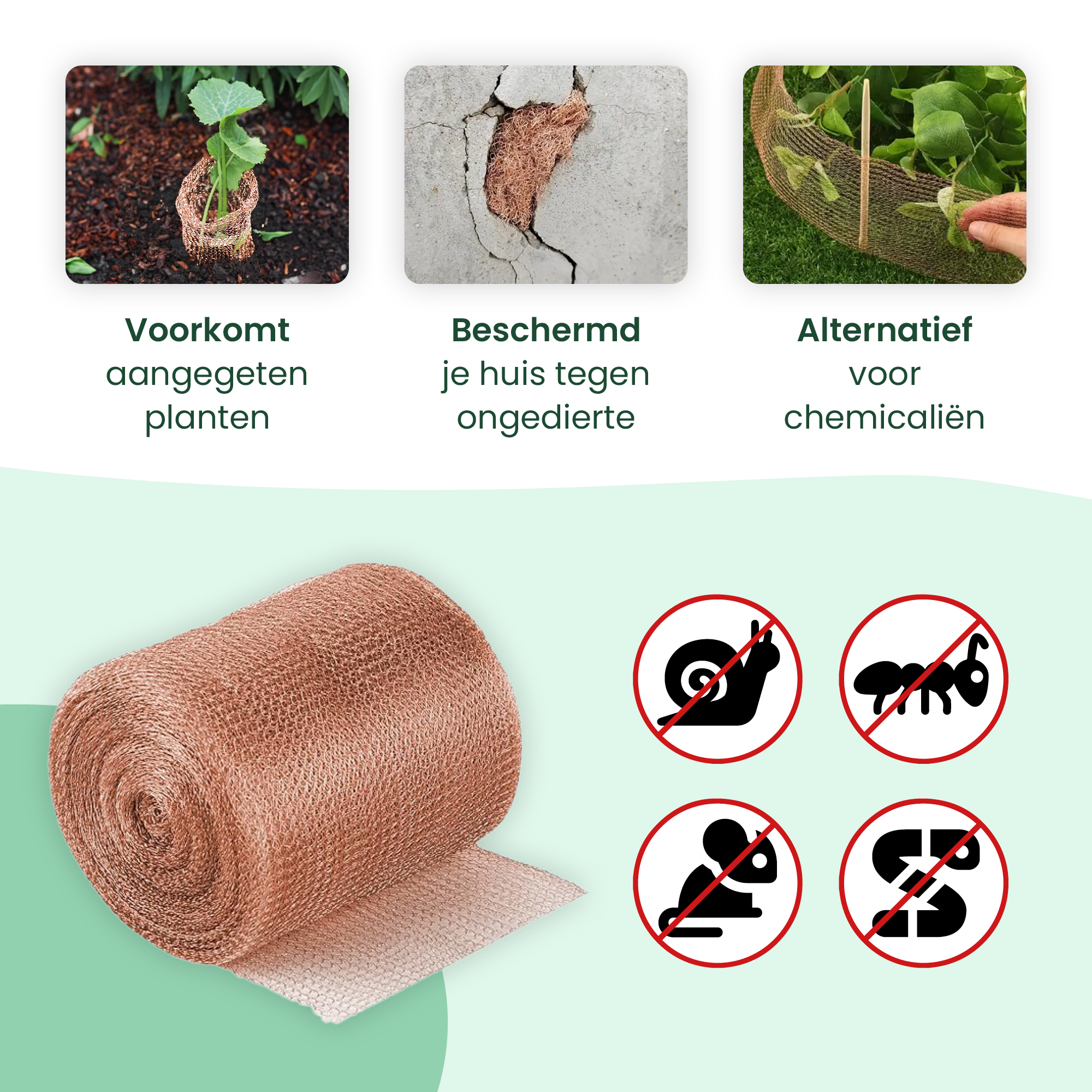 ViraFlora kopergaas voorkomt aangevreten planten, beschermt je huis tegen ongedierte en is een milieuvriendelijk alternatief voor chemicaliën. Effectief tegen slakken, mieren, muizen en slangen.