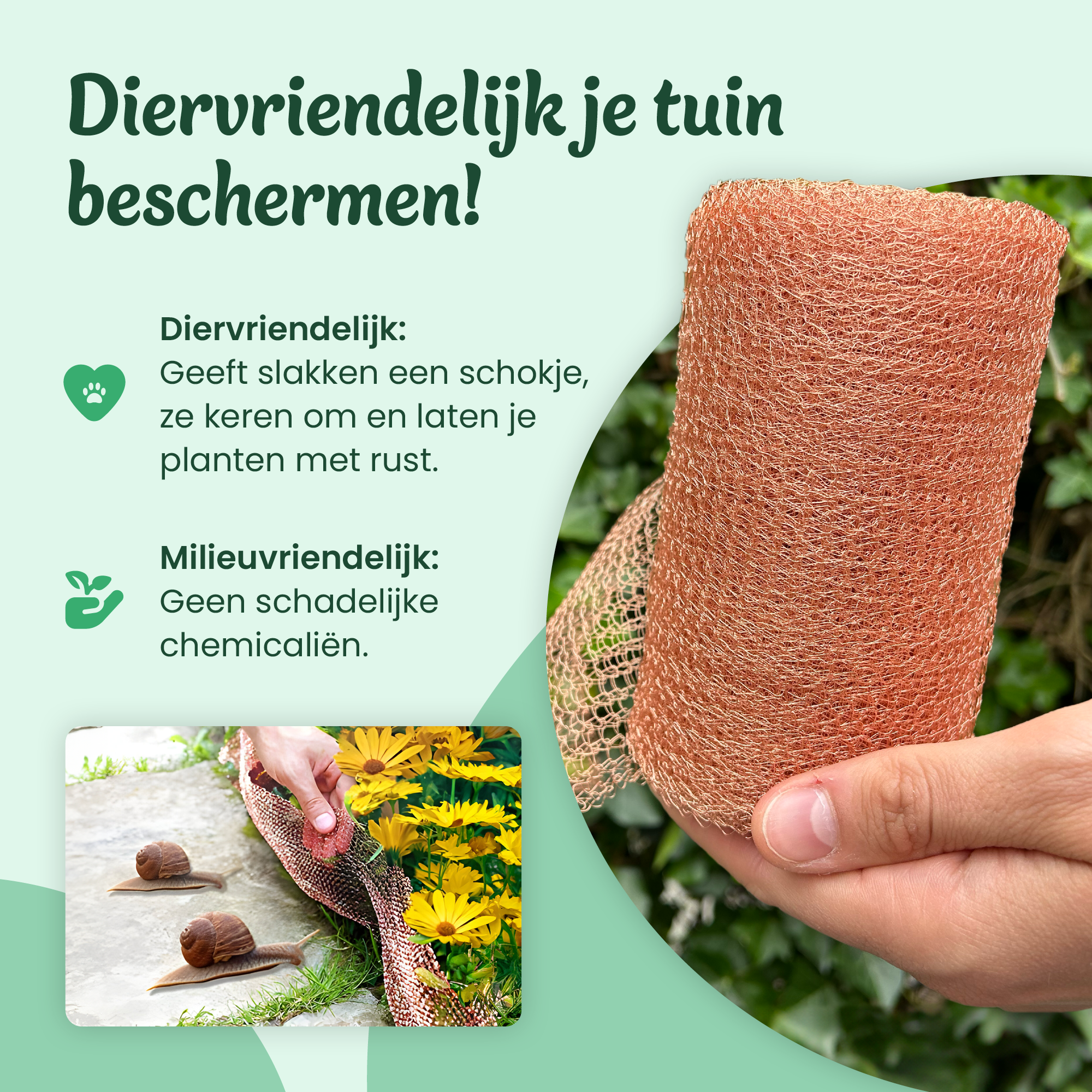ViraFlora kopergaas biedt diervriendelijke tuinbescherming door slakken een klein schokje te geven, waardoor ze planten met rust laten. Milieuvriendelijk en vrij van schadelijke chemicaliën.